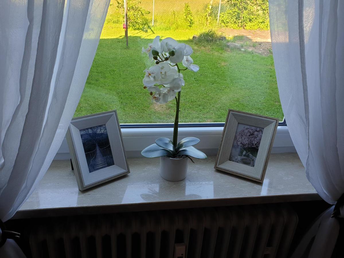 Ana'S Ferienwohnung Furth im Wald Kültér fotó